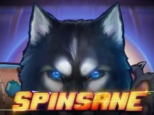 Spinsane game icon
